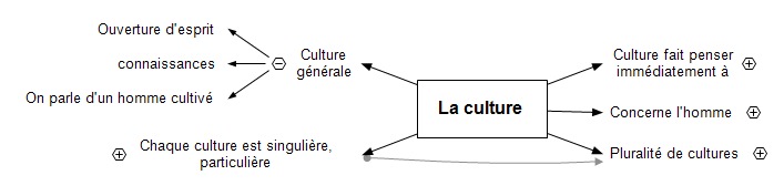 La culture ts4